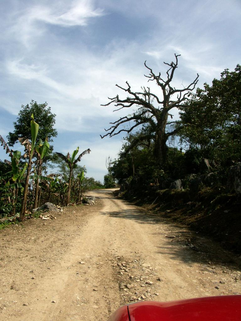 100228_Tlapacoyan 097.jpg